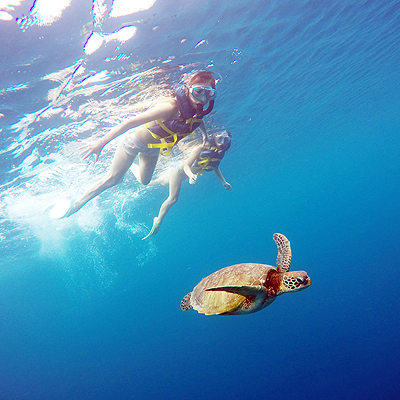ウミガメボートスノーケル