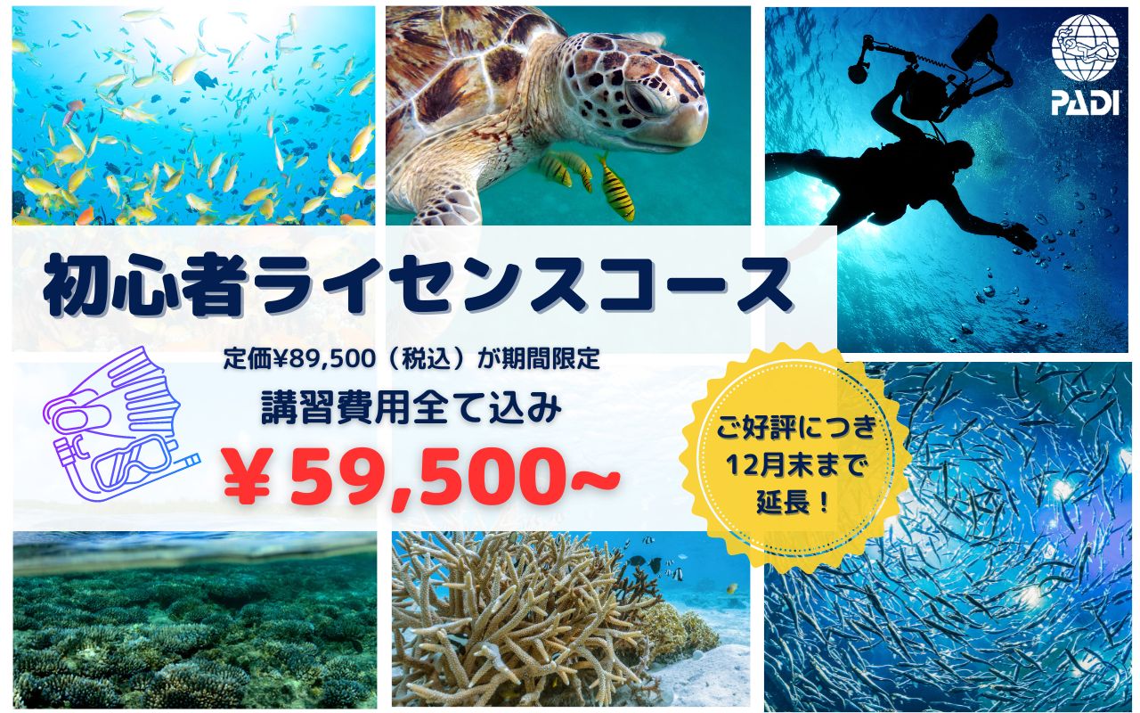 オープンウォーターライセンス