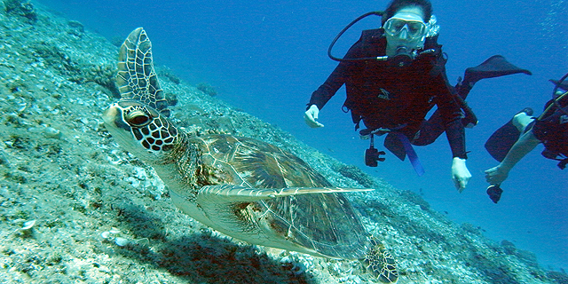 グアムの体験ダイビングはお手軽！