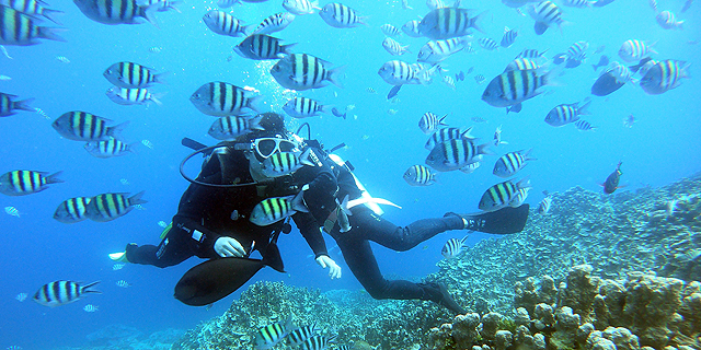 1ビーチフィッシュアイ