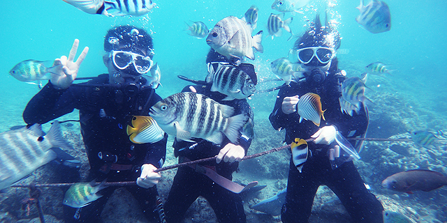 1ビーチ体験ダイブ