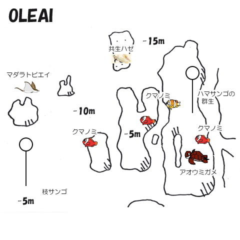オレアイ水中マップ