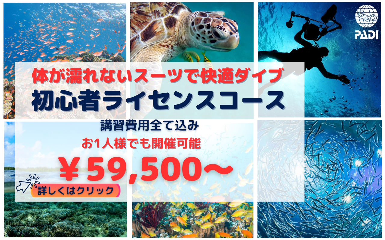 オープンウォーターライセンス