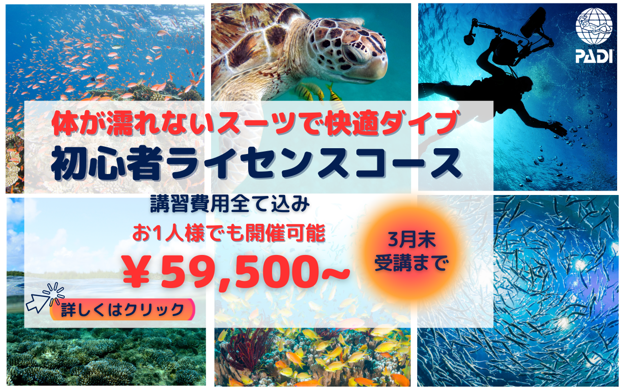 オープンウォーターライセンス